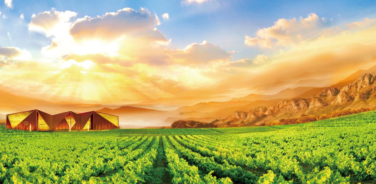 金东四川中国白酒金三角川酒品牌运营发展股份有限公司_文化体制改革与文化文化产业政策发展_酒文化如何发展旅游