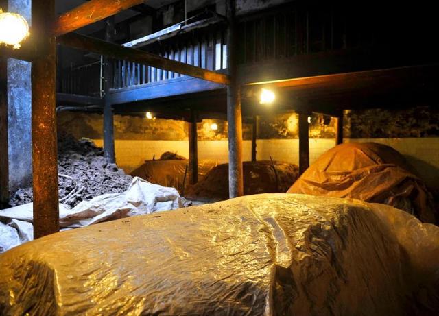 宜宾竹海酒业怎么样_竹海酒业_宜宾竹海酒业