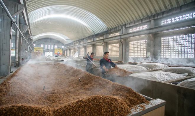 竹海酒业_宜宾竹海酒业怎么样_宜宾竹海酒业