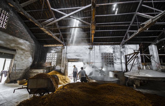 竹海酒业_宜宾竹海酒业怎么样_宜宾竹海酒业