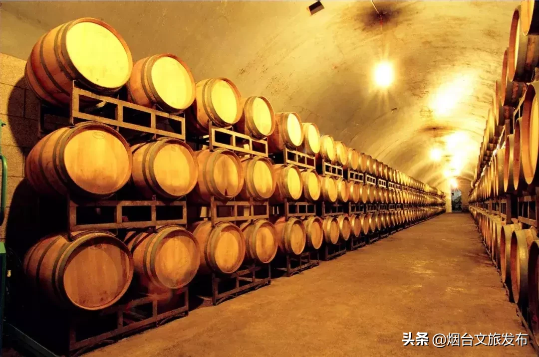 本周日持市民休闲护照免费游张裕酒文化博物馆！