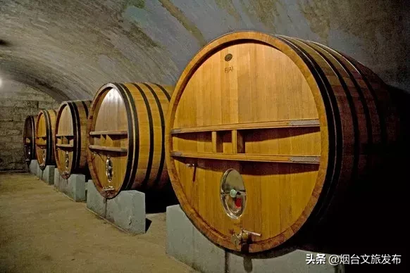 本周日持市民休闲护照免费游张裕酒文化博物馆！