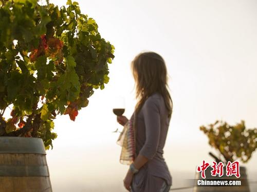 智利魔狮酒庄将与张裕公司开展旅游项目交流