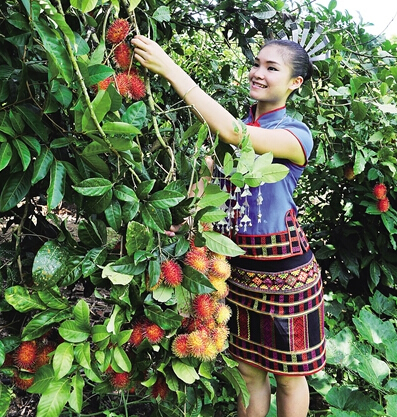 黎族酒文化_黎族文化三进校园_黎族的历史文化