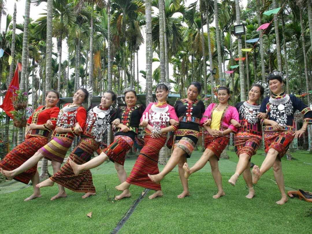 黎族文化进校园_黎族酒文化_三亚黎族文化
