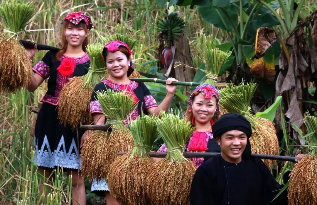 来五指山必打卡特色黎族村寨，体验别样风情！