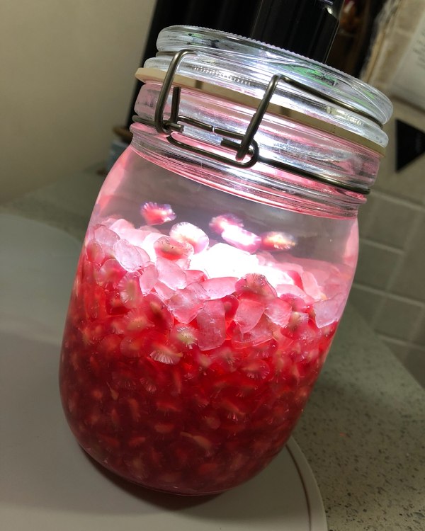 安徽亚太石榴酒yt时尚礼品价格 查询_石榴酒品牌_枣庄石榴酒