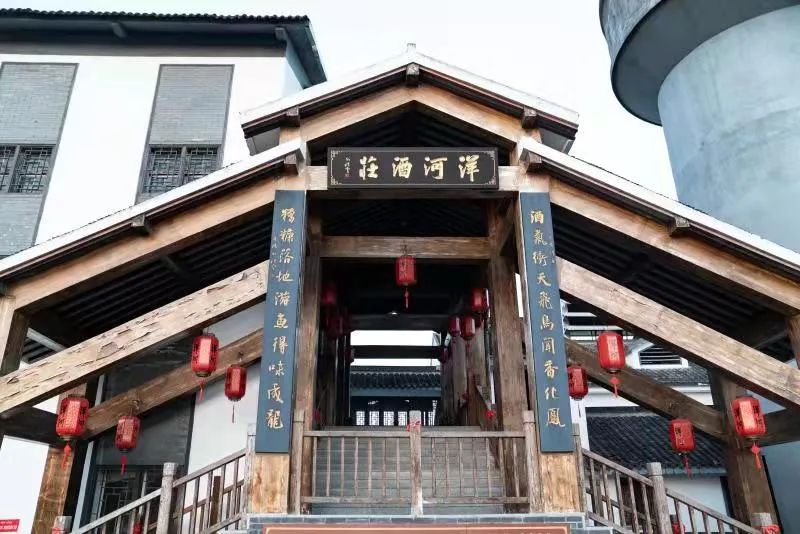 张联东：持续发力高端市场，创新引领洋河新高度｜走访洋河股份