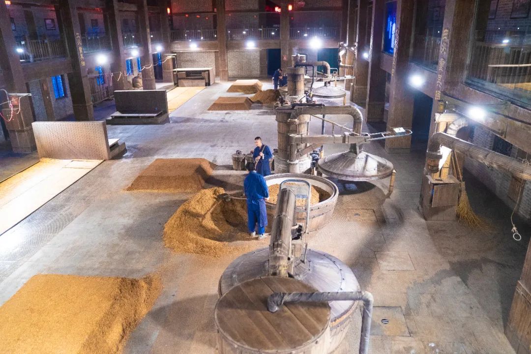 张联东：持续发力高端市场，创新引领洋河新高度｜走访洋河股份