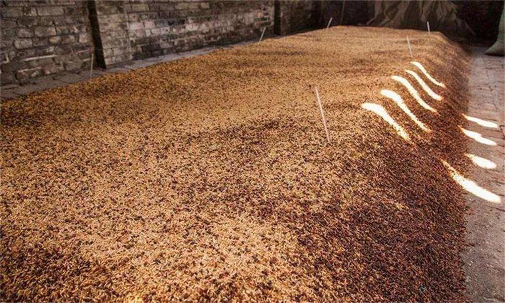 荔枝酒 品牌_喜荔半甜荔枝酒_荔枝酒 品牌