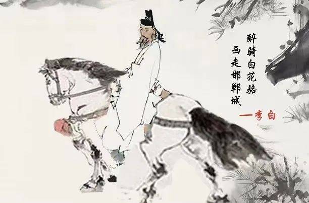 酒文化ppt_苏酒集团文化_姓氏文化酒之姜姓