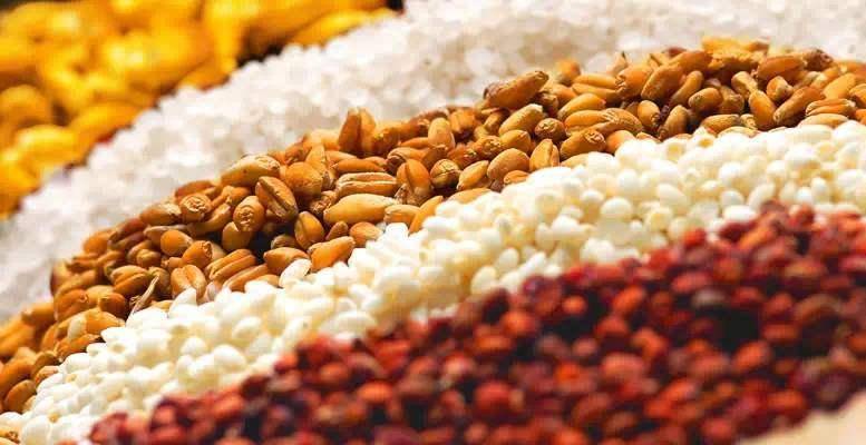 酱香吧评论憨老头酒_酱香酒文化_怀酒 酱香 53度价格