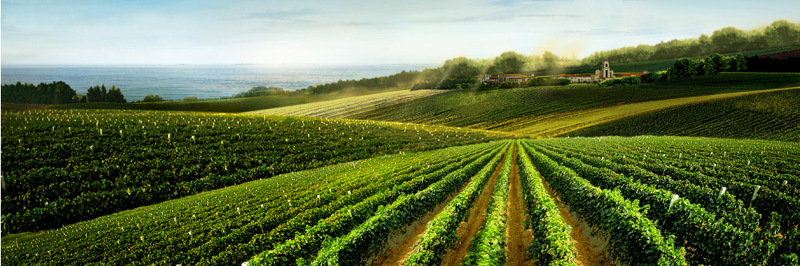 大梁酒庄品牌酒_大梁酒庄种买酒存酒_大梁酒庄品牌酒
