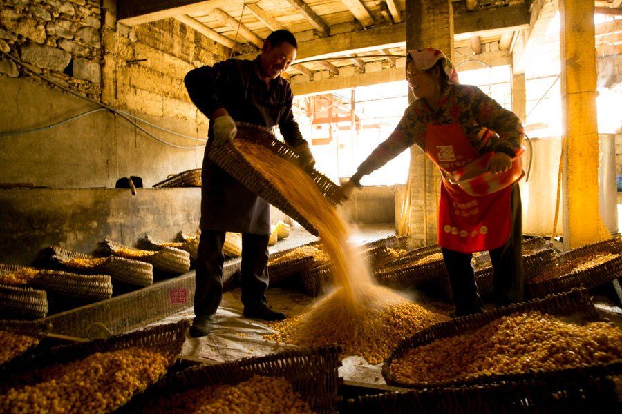 酒文化文档_关于酒神的文化_中国倒酒敬酒文化