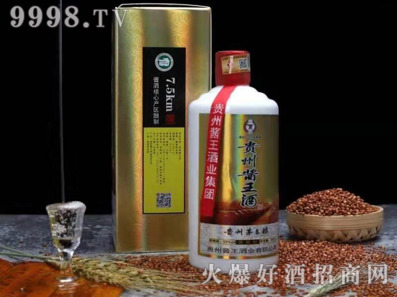 苹果9月发布会会发布什么产品_摩托罗拉v4会发布吗_品牌发布会 酒