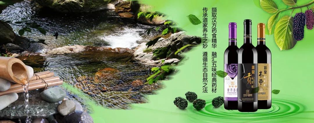 陕菜探秘之旅走进葚皇本草 野生桑葚产品健康养生理念打动众人