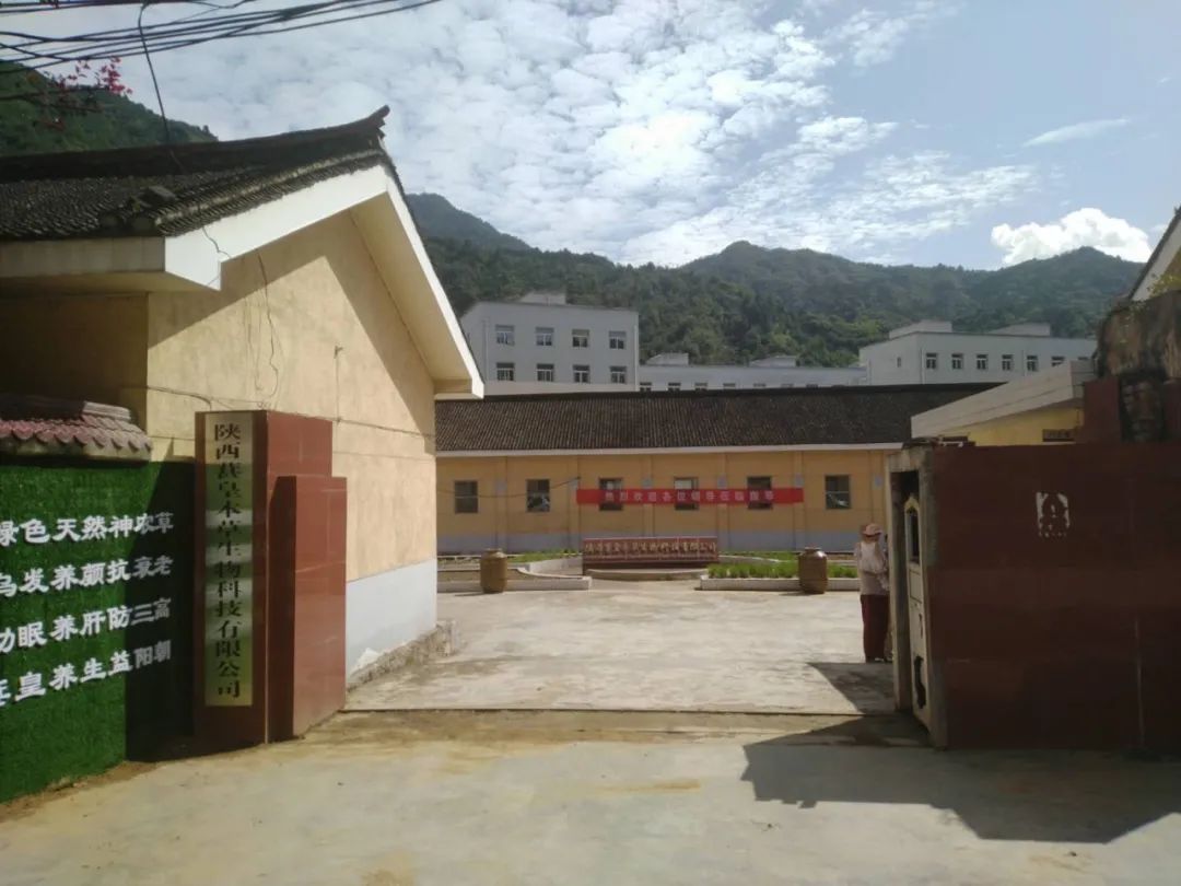 陕菜探秘之旅走进葚皇本草 野生桑葚产品健康养生理念打动众人