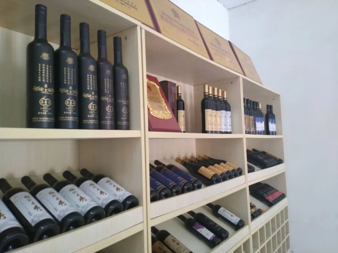 陕菜探秘之旅走进葚皇本草 野生桑葚产品健康养生理念打动众人