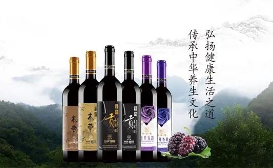 陕菜探秘之旅走进葚皇本草 野生桑葚产品健康养生理念打动众人