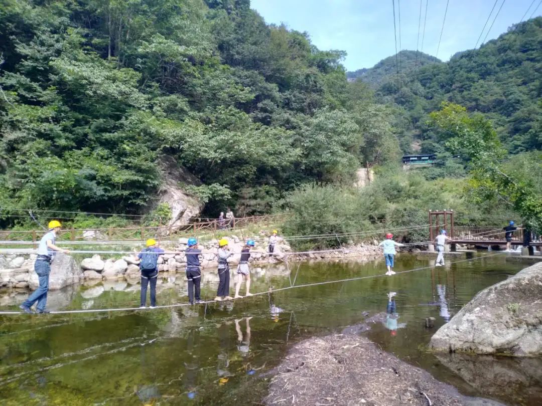 陕菜探秘之旅走进葚皇本草 野生桑葚产品健康养生理念打动众人