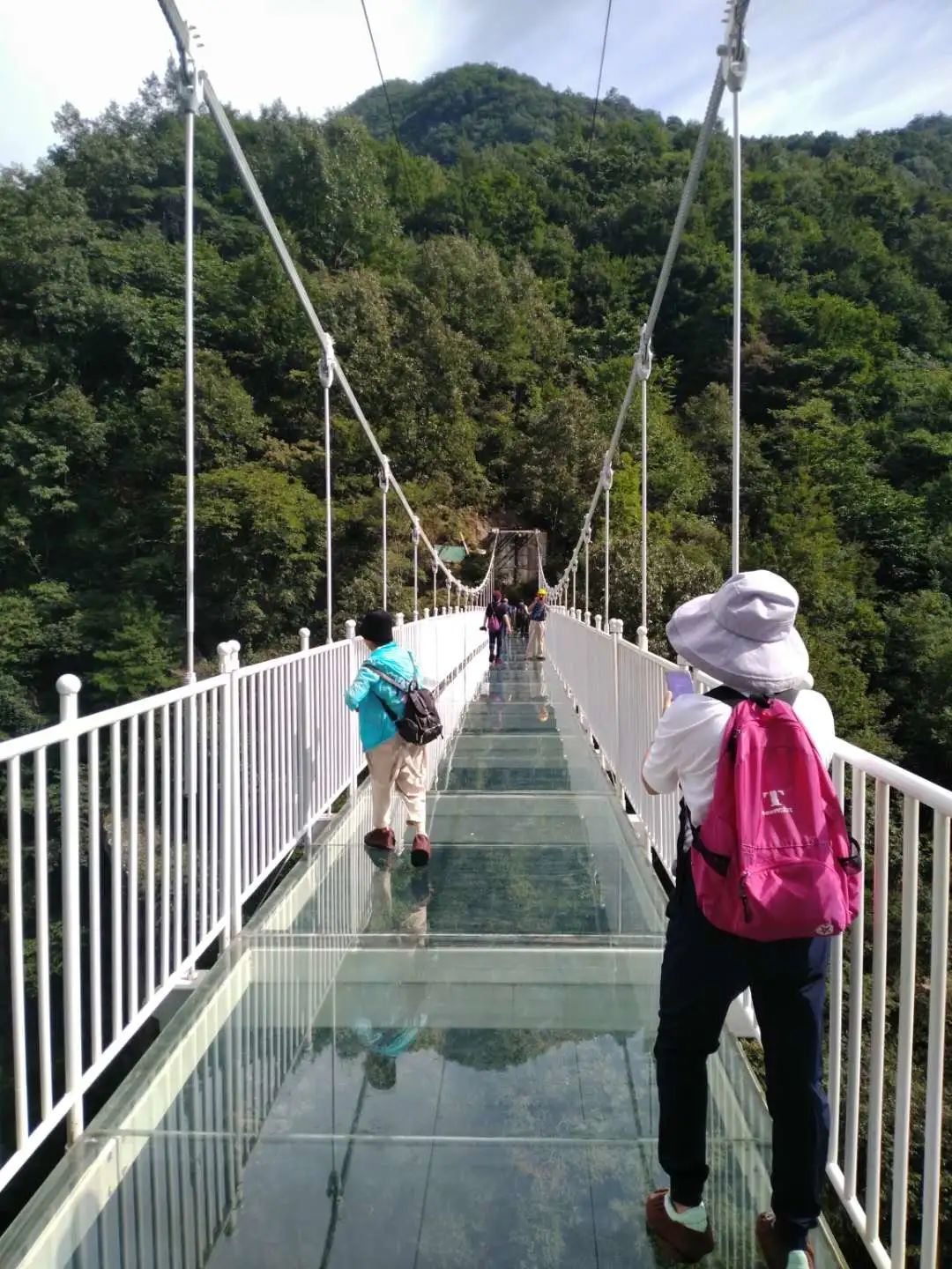 陕菜探秘之旅走进葚皇本草 野生桑葚产品健康养生理念打动众人