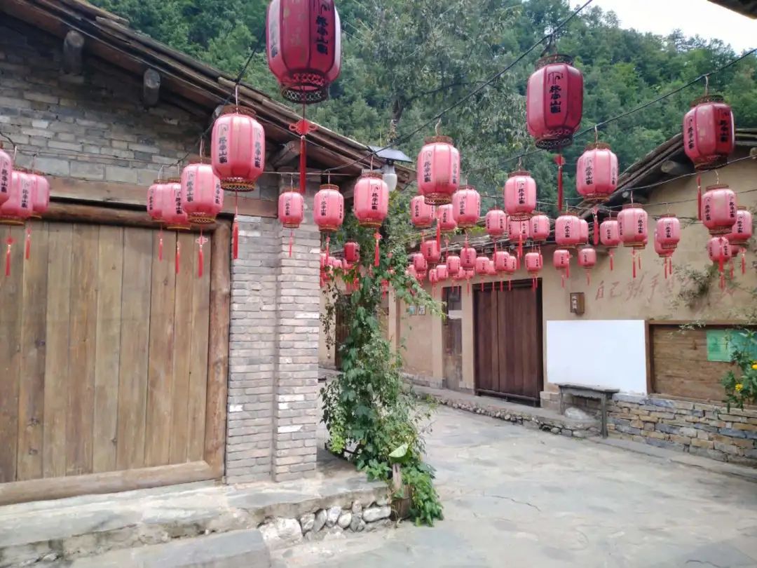 陕菜探秘之旅走进葚皇本草 野生桑葚产品健康养生理念打动众人