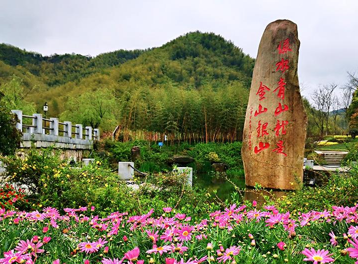 陕菜探秘之旅走进葚皇本草 野生桑葚产品健康养生理念打动众人