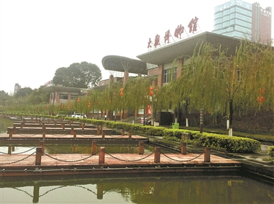 佛山博物馆数量居全省第四