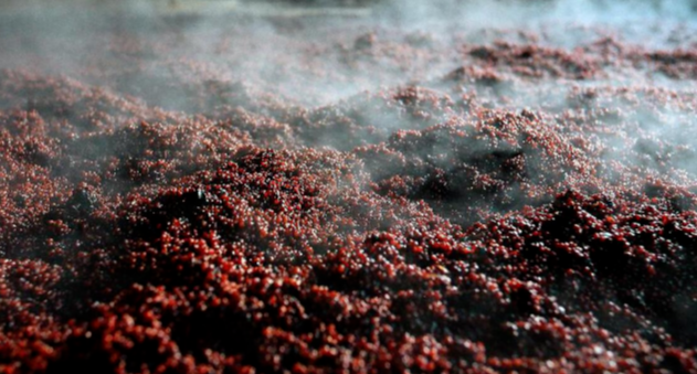 1斤粮食酒的成本要多少？答案跟你想的一样吗？一起了解清楚