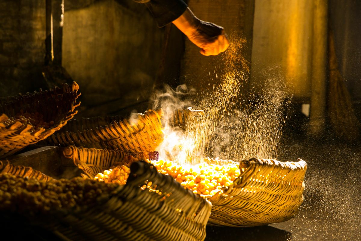 河北石家庄作为“世界酿酒鼻祖”，为何尴尬没人气？酒友：酒不行