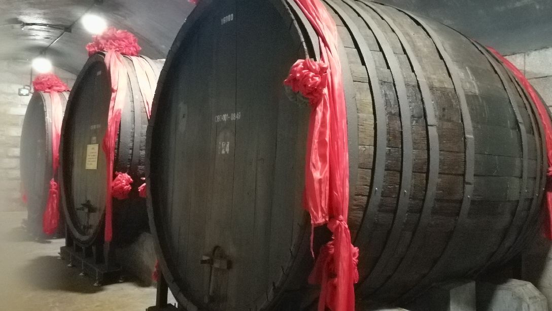 张裕酒文化博物馆2瓶_河南博物馆主馆开了吗_博物馆藏紫定窑花口瓶