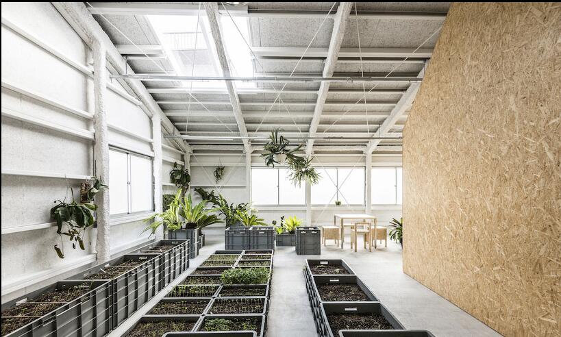 北京郎园文化创意园_北京国际葡萄酒文化产业园_北京文化创意产业工场