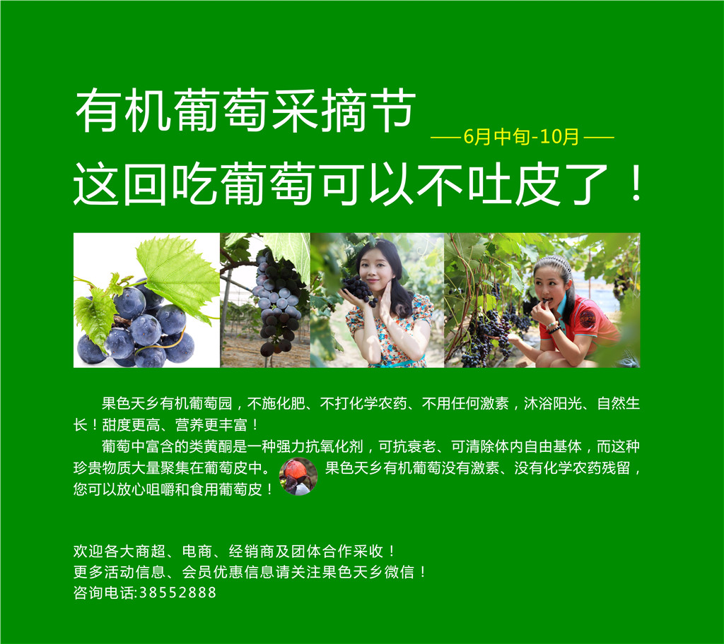 北京国际葡萄酒文化产业园_北京文化创意产业发展报告_益园文化创意产业基地