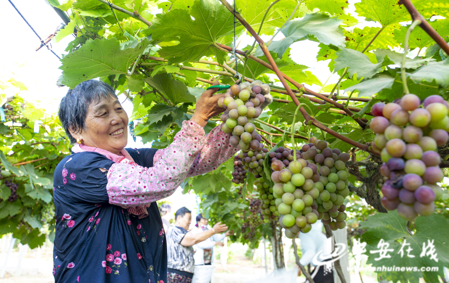 北京国际葡萄酒文化产业园_益园文化创意产业基地_北京文化创意产业发展报告