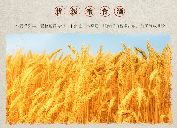 武威红太阳酒业五谷传奇酒的价格_红太阳五谷传奇53度酒_五谷传奇酒52度多少钱