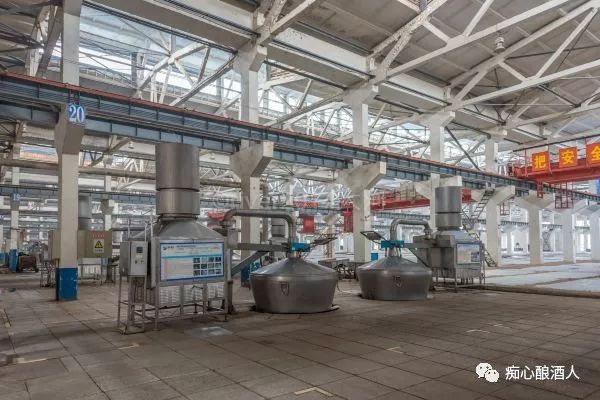 西凤酒塑化剂超标，塑化剂是什么？塑化剂的危害大吗？