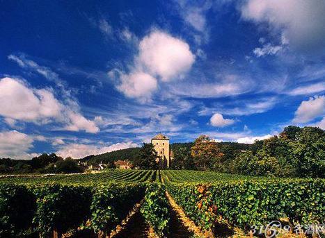 成都双剑鞋文化博馆馆_酒文化博物馆设计_酒妖妖啤酒文化体验馆怎么样