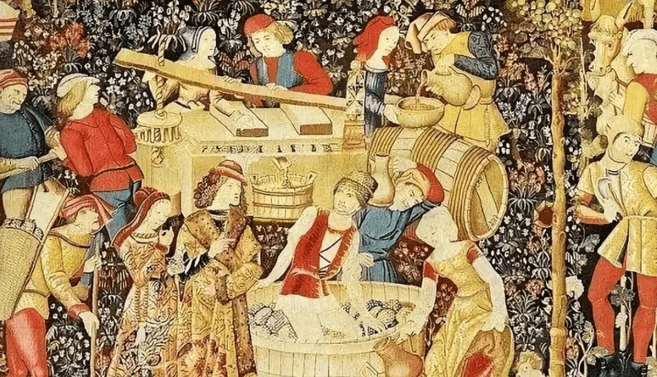 酒星干红葡萄酒价格_酒葡萄品种大全_关于葡萄酒文化