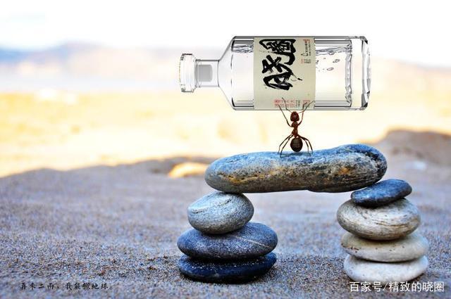 白酒杂醇油标准_酒驾标准是和多少的白酒_白酒杂醇油标准