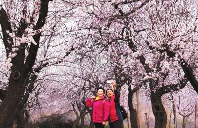 酒文化诗歌征_茅台征天下原浆酒52度价格_地域文化与唐代诗歌