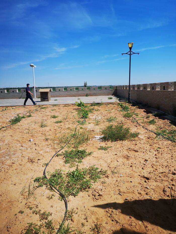 宁夏葡萄酒冲击千亿产业 张裕、中粮酒业重仓布局