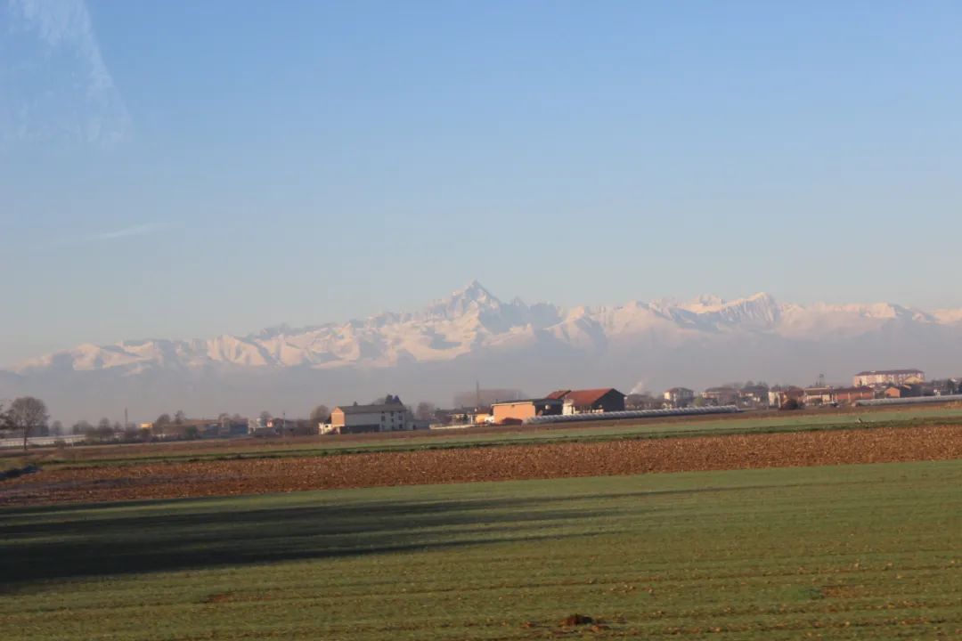 意大利葡萄酒之经典奇昂第（Chianti Classico）