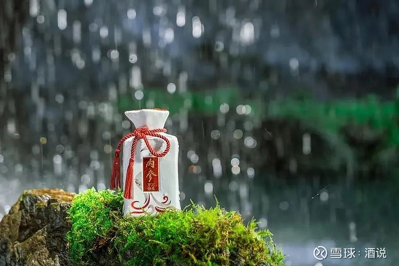 湘泉酒54度馥郁香白酒_馥郁香型白酒标准_54度湘泉馥郁香型白酒