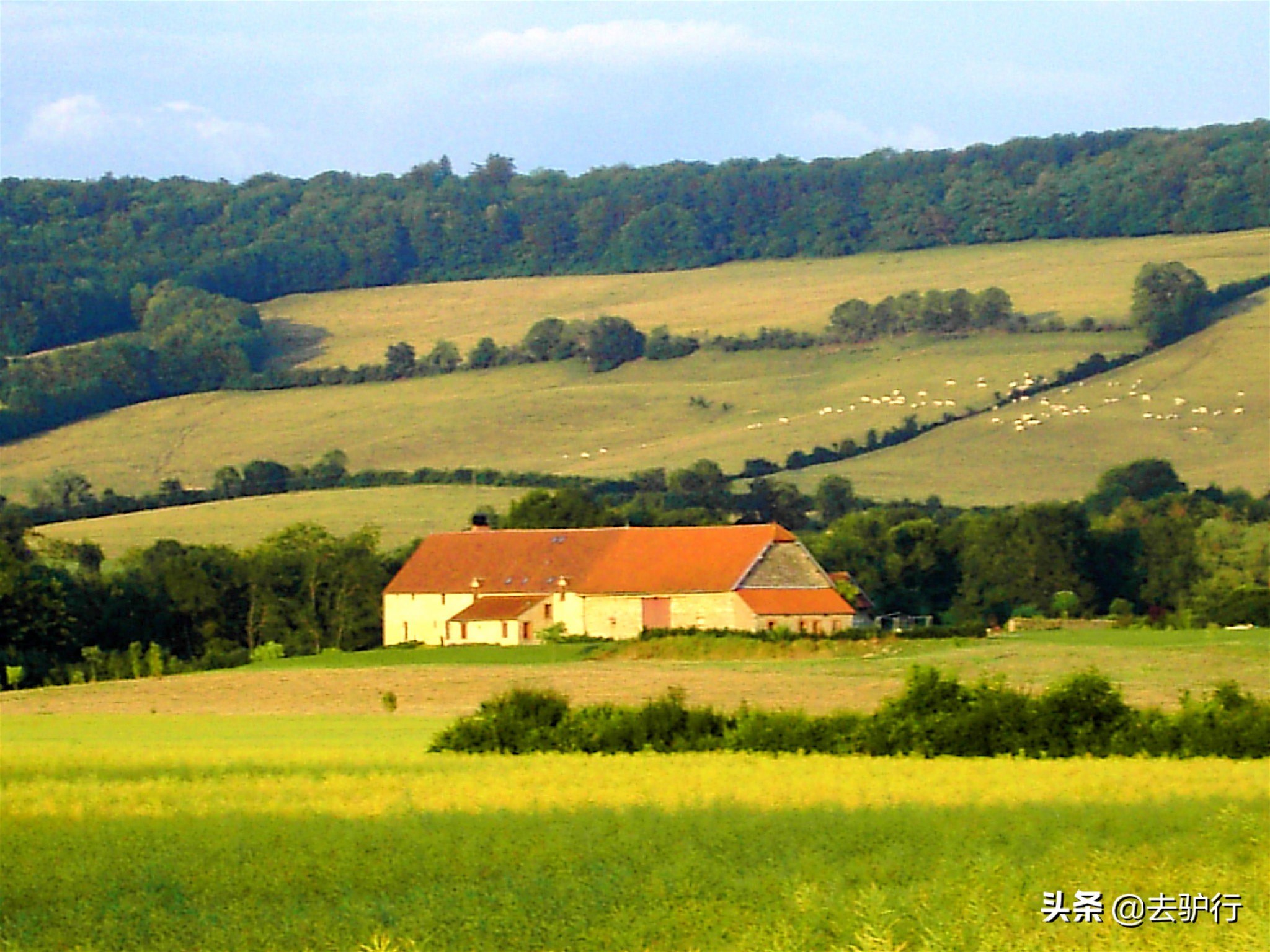 酒能玩出什么名堂？法国这个家族，靠红酒成为了亿万美金的豪门