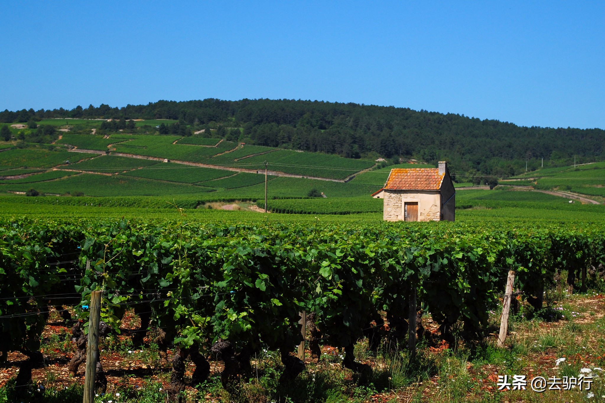 酒能玩出什么名堂？法国这个家族，靠红酒成为了亿万美金的豪门