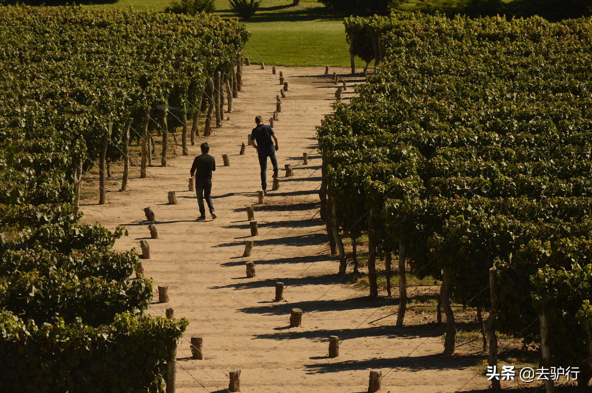 酒能玩出什么名堂？法国这个家族，靠红酒成为了亿万美金的豪门