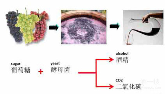 葡萄酒文化文化论文_朗格斯酒庄2007年份黑山伯爵干红葡萄酒价格_葡萄酒酒文化