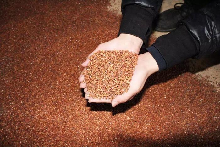 白酒塑化剂对人的危害_白酒塑化剂标准_白酒塑化剂标准