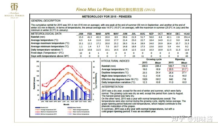 红酒塞掉酒里了怎么办_红酒带木酒塞好还是真空酒塞好_西班牙红酒酒塞有哪些品牌
