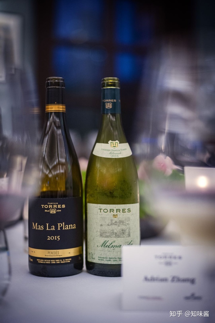 红酒塞掉酒里了怎么办_西班牙红酒酒塞有哪些品牌_红酒带木酒塞好还是真空酒塞好